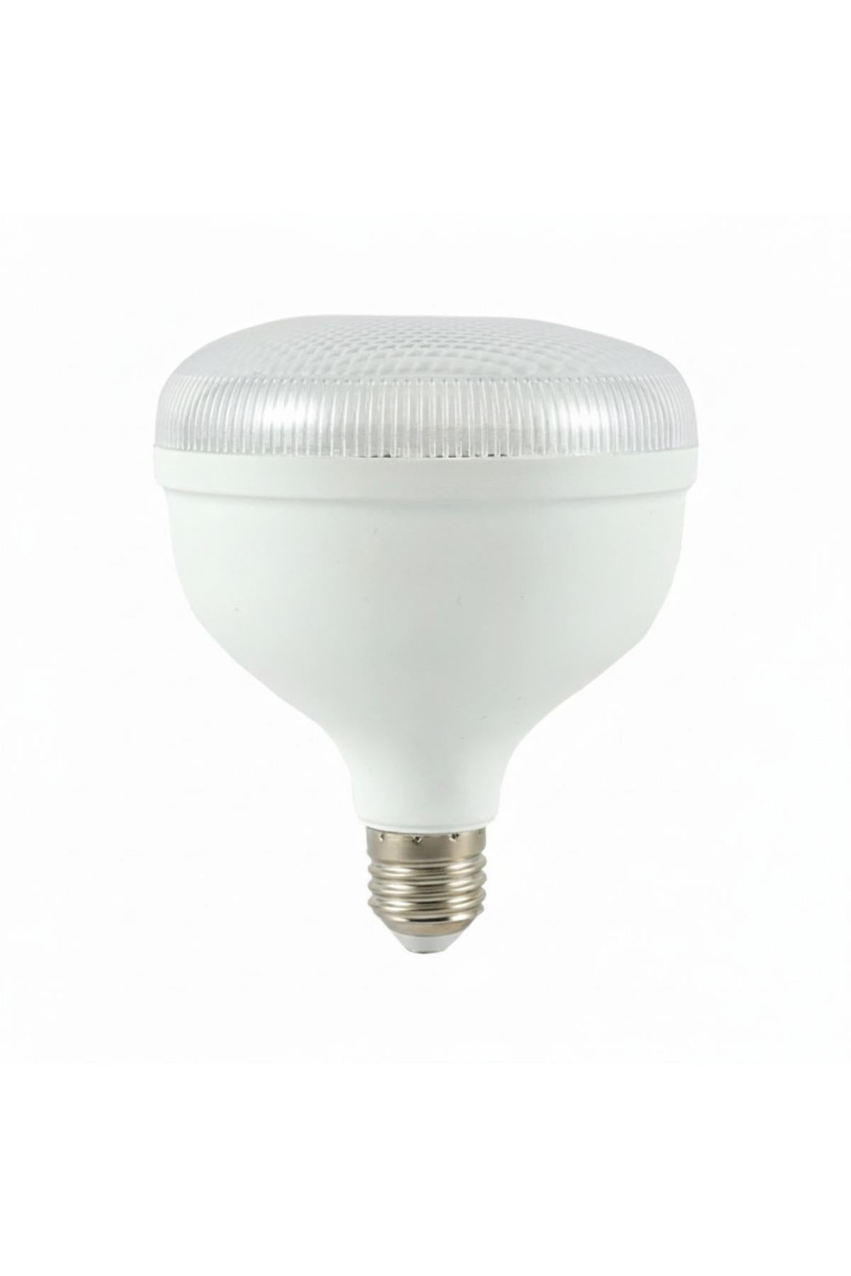 K2 GES242 Crystal LED Torch Bulb 40W – White Light