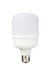 K2 KES134 LED Torch Bulb 60W – Light Colour Options