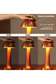 SIQI KML115 Rechargeable Touch-Control Table Lamp – Rose